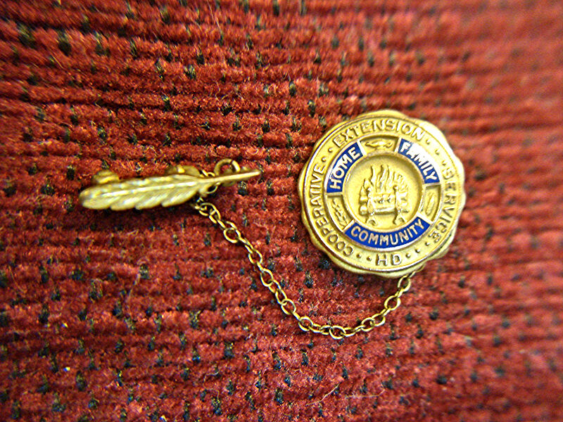 Vintage Cooperative Extension Service pin set with gold-filled enamel and feather, excellent condition.