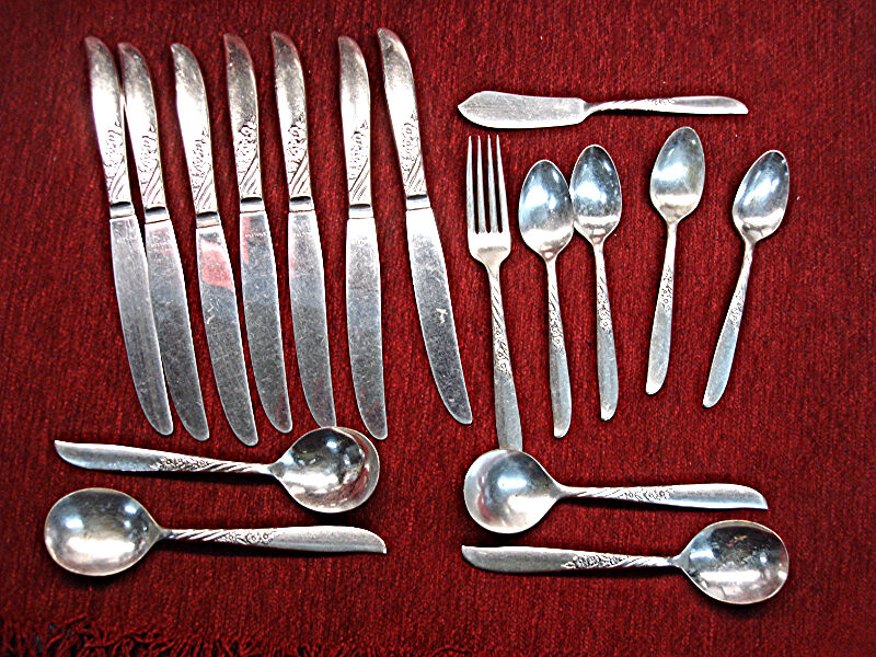 Vintage William Rogers Always/Wildwood silver plate flatware - 17pc set