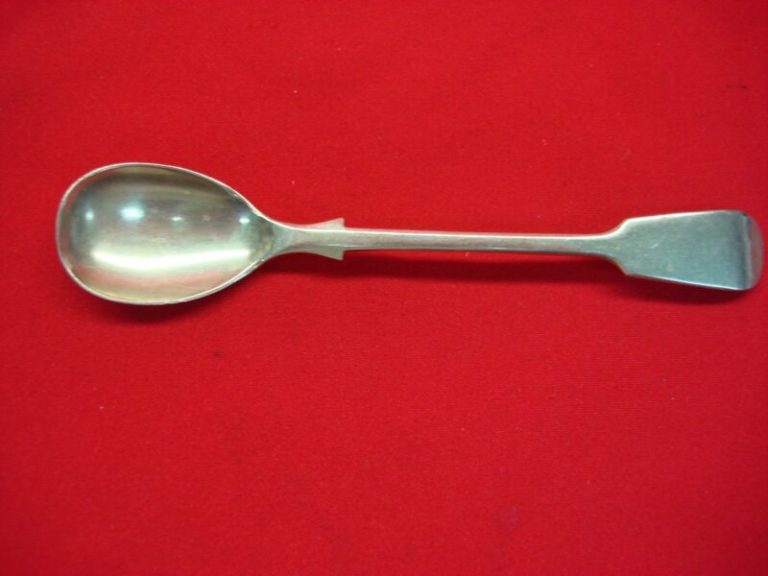 Antique William Page & Co. Silver Plate Salt Spoon with Gold Wash Bowl