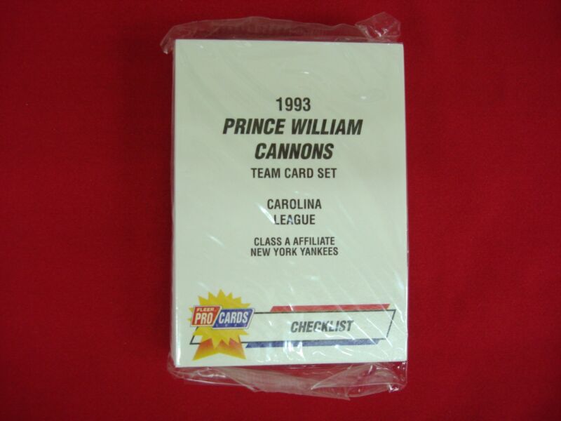 1993 Fleer Procards Prince William Cannons Team Set with Jorge Posada Rookie Card