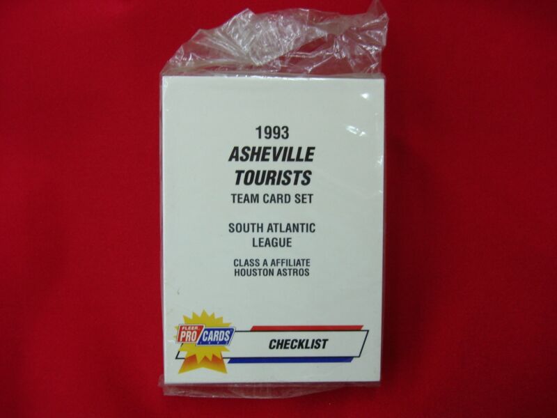 1993 Fleer ProCards Asheville Tourists Team Set featuring Richard Hidalgo and Melvin Mora