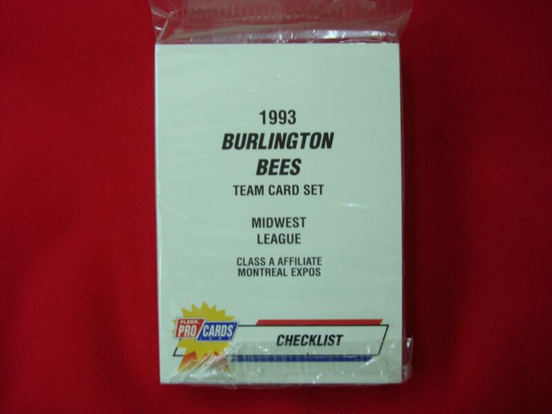 1993 Fleer ProCards Burlington Bees Team Set featuring Ugueth Urbina