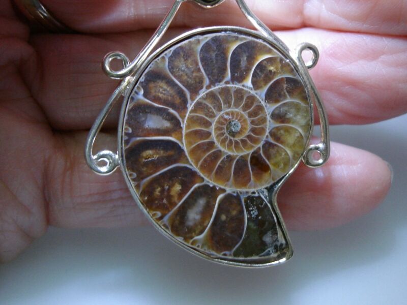 Artisan Sterling Silver Ammonite Fossil Pendant with Filigree & Heart Gemstone