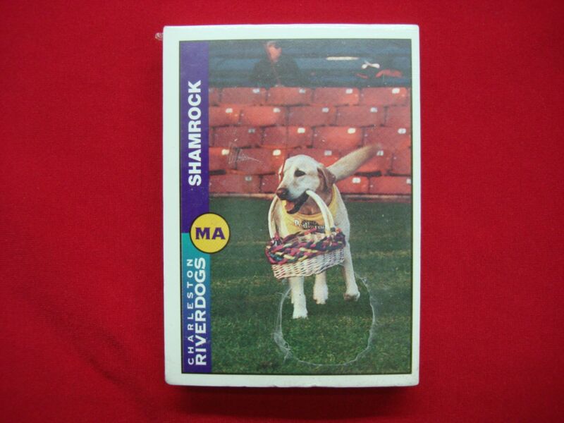 1996 Charleston Riverdogs Team Issue Minor League Baseball Card Set