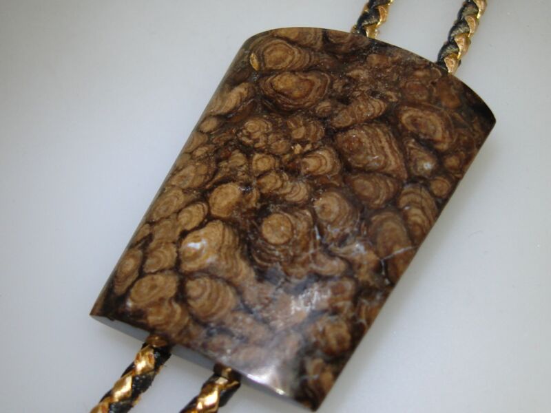 Vintage Native American turritella agate fossil bolo tie with brass and leather