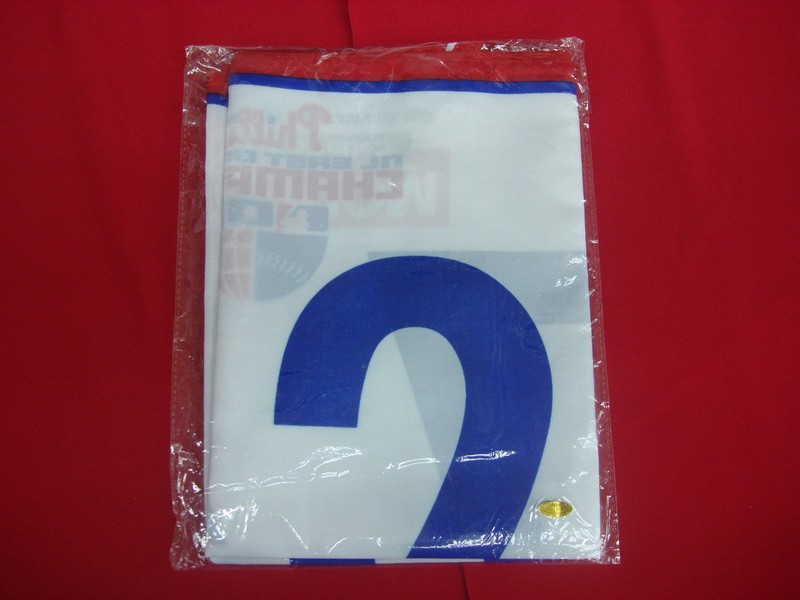 2007 Philadelphia Phillies NL East Champions Pennant Banner