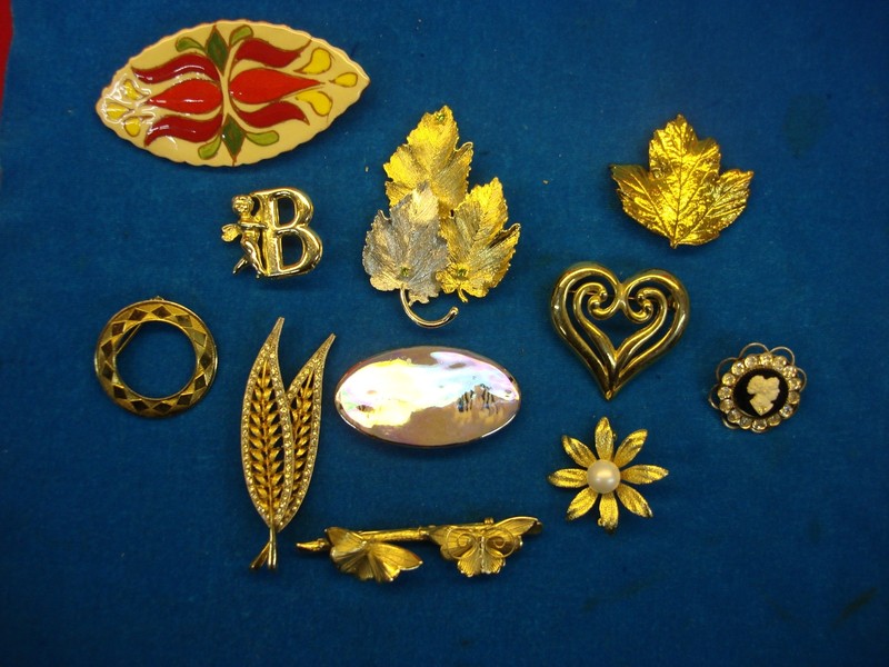 Vintage Costume Pin Collection (10-Piece Lot)