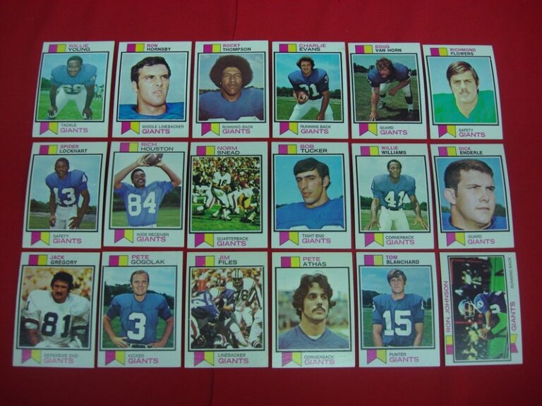 Vintage 1973 Topps New York Giants football card lot of 18 cards