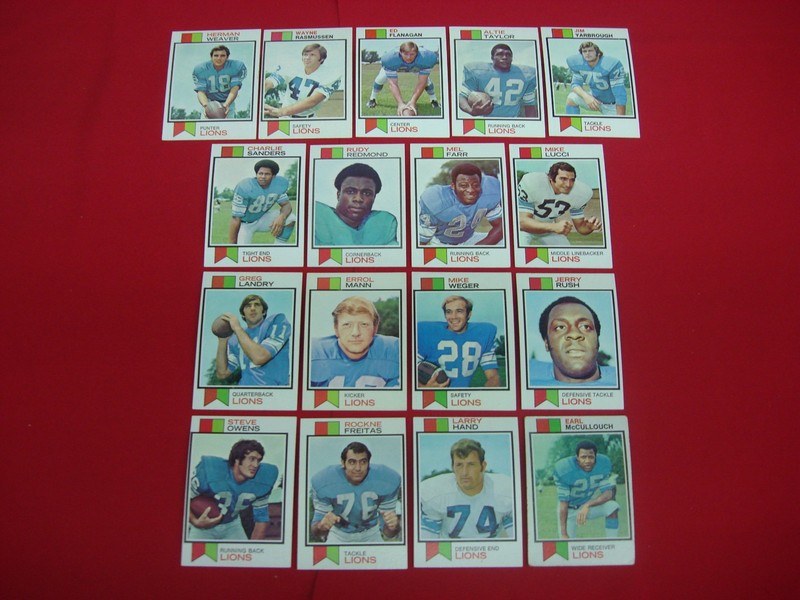 17-card lot of 1973 Topps Detroit Lions football cards in excellent to mint condition.