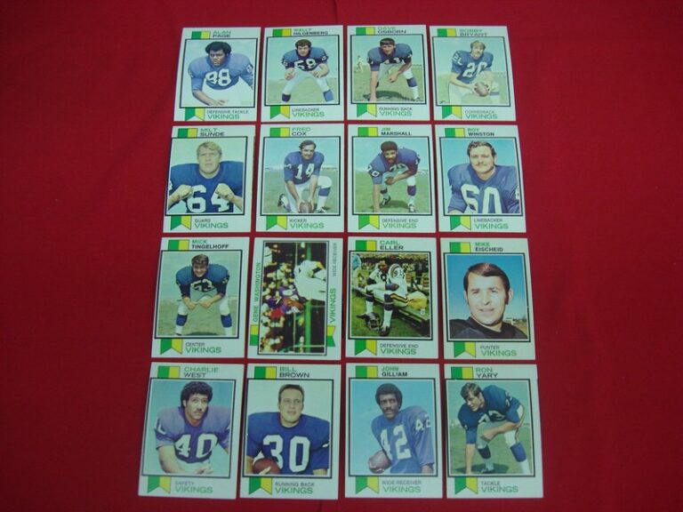 Vintage 1973 Topps Minnesota Vikings football card lot of 16 cards