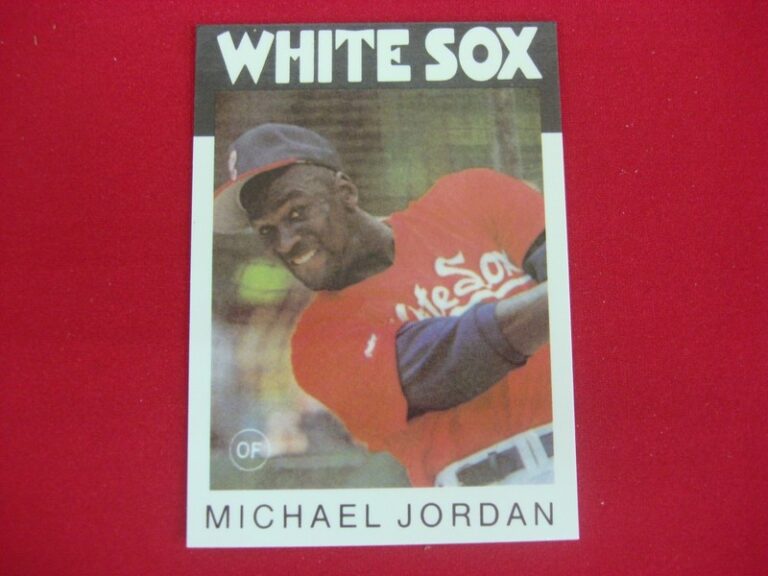 1990-91 Michael Jordan Broder Type Baseball Card