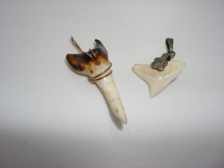 Pair of vintage shark teeth charms, one small and silver, the other larger with gold-tone wire.
