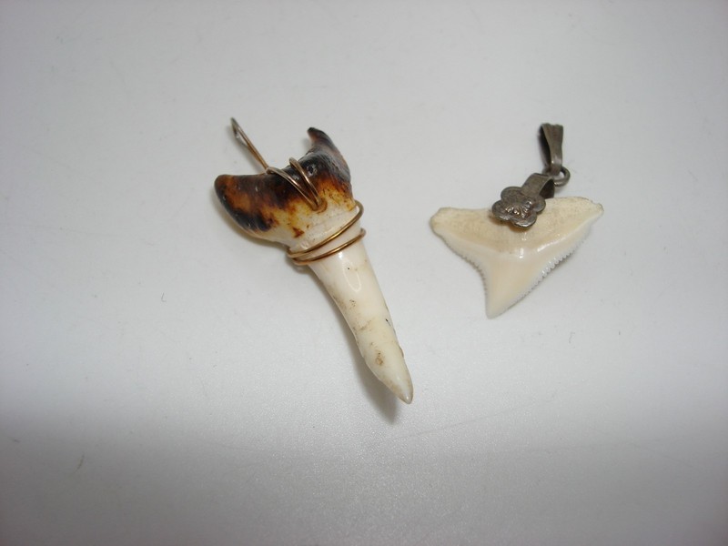 Pair of vintage shark teeth charms, one small and silver, the other larger with gold-tone wire.