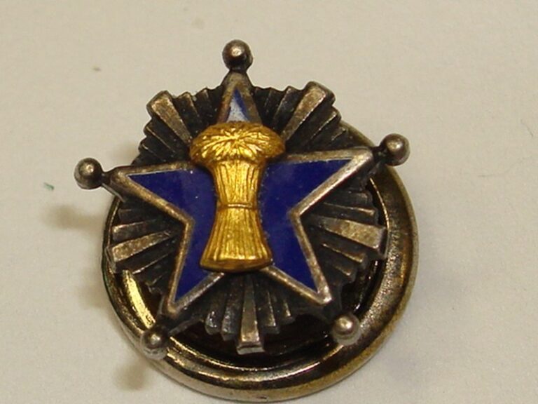 Vintage Patrons of Husbandry enamel pin, featuring a blue star and gold-tone sheaf of wheat