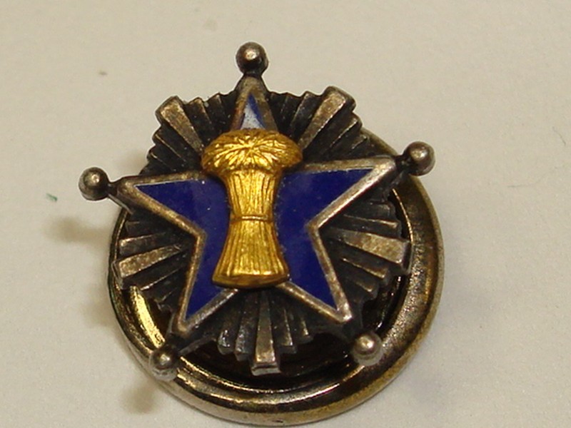Vintage Patrons of Husbandry enamel pin, featuring a blue star and gold-tone sheaf of wheat