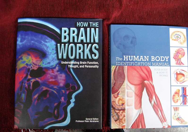 Like-new hardcover books: 'How the Brain Works' and 'The Human Body Identification Manual'
