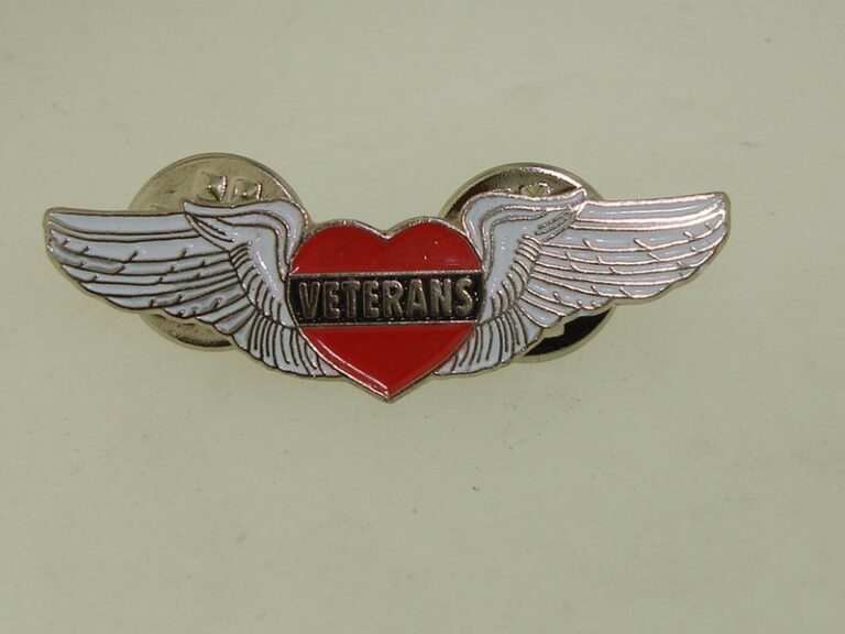 2010-11 Harley Davidson Wings Veterans Pin, mint condition, never worn