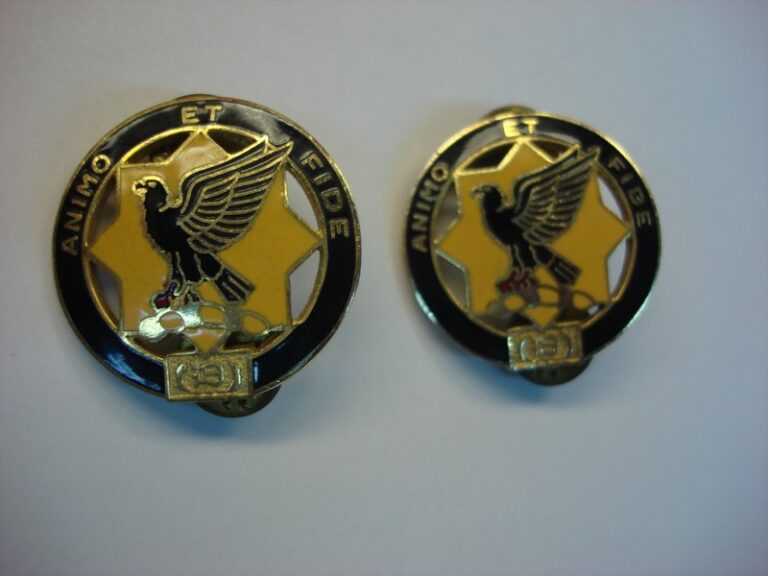 Vintage U.S. Army 1st Cavalry Regiment collar pins with motto 'ANIMO ET FIDE'